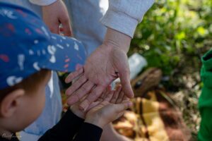 Exploring living nature during a pick nick Base UA provided for kids in Donetsk region. © Ori Aviram