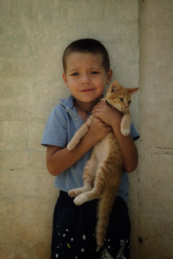 Mykytka und sein neuer Katzenfreund. © Kseniia Tomchyk